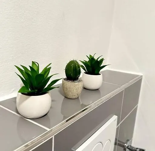 2,5 Mit Eigenem Parkplatz Appartement Fehmarn